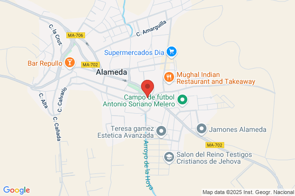 Estación De Servicio Alameda Motor S.L.