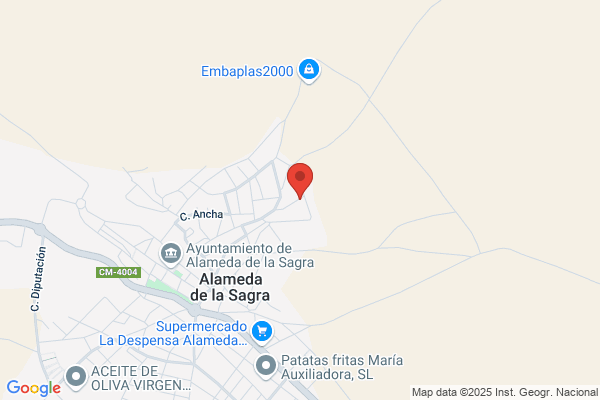 Asesoramiento y Gestión Alameda