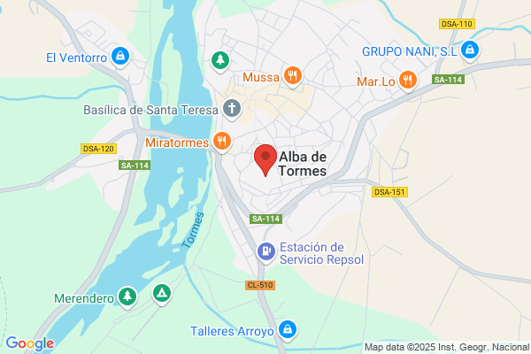 Transportes Flores