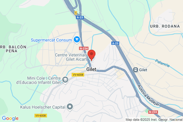 Centro Veterinario Gilet Aicart