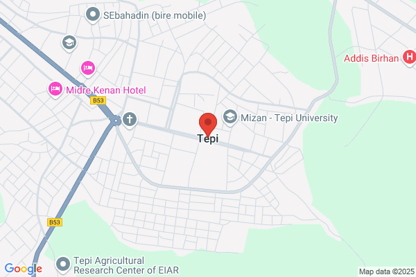 Tepi S.L.