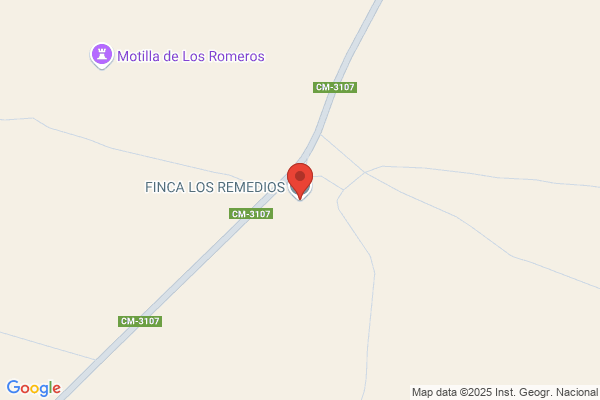 Finca Los Remedios S/N