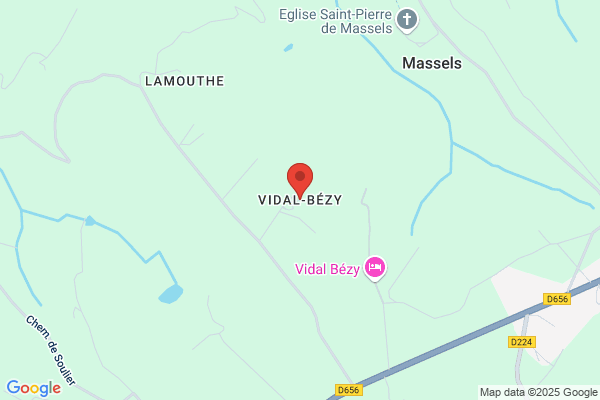 Vidal Belles f.