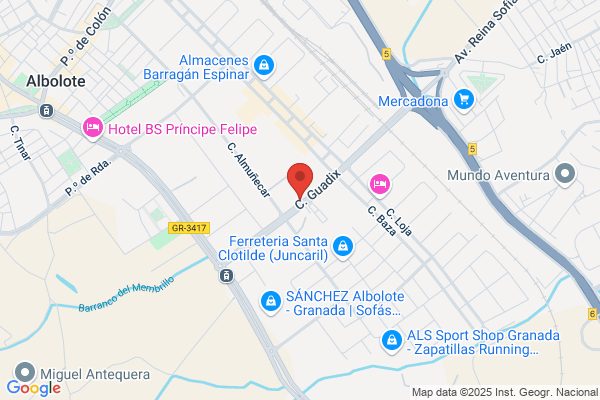 Repuestos Sur Granada S.L.