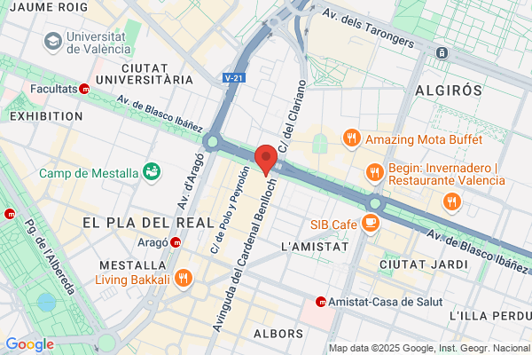 El Nuevo Virrey
