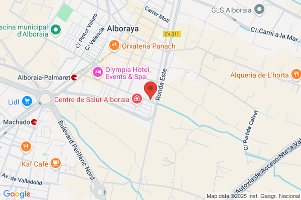 Auto Lineas Alsina S. A.