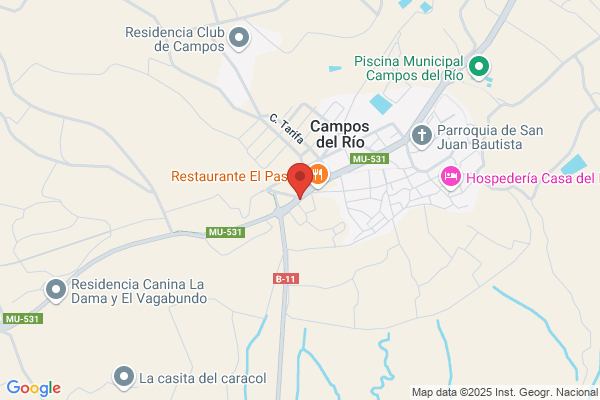 Autos Campos Del Rio S.L.