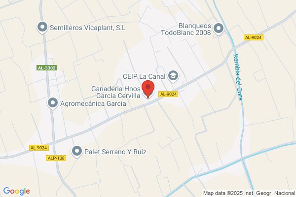 Cervilla Garcia j.