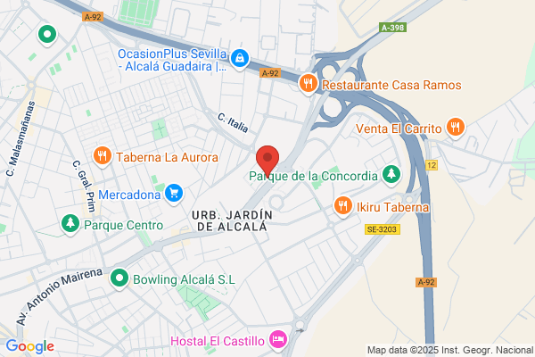 El Tren De Los Niños