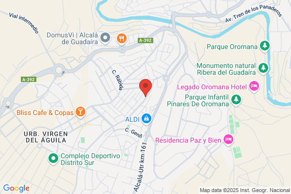 LENDISER SEGURIDAD