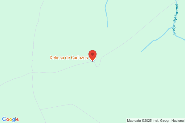 Dehesa Del Carrizoso S.A.