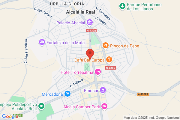 Profesionales Del Seguro Alcala S.L.