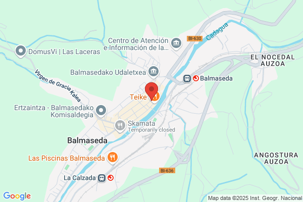 Balmaseda Zorzano i.