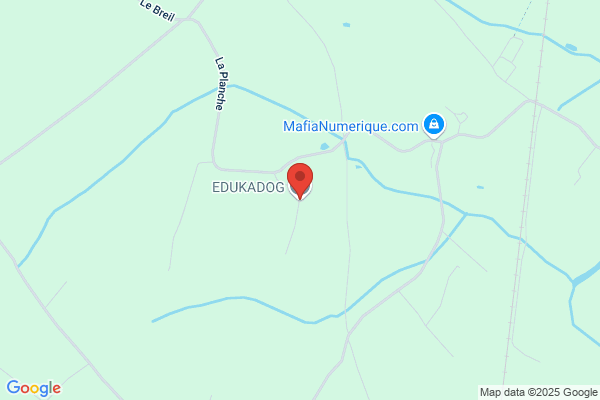 Eduka-Dog
