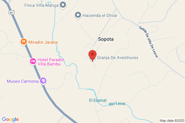 Granjas De Avestruces Tracex