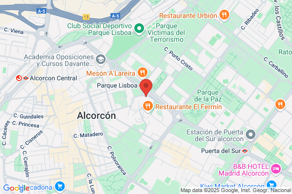 Palmero Flores a.