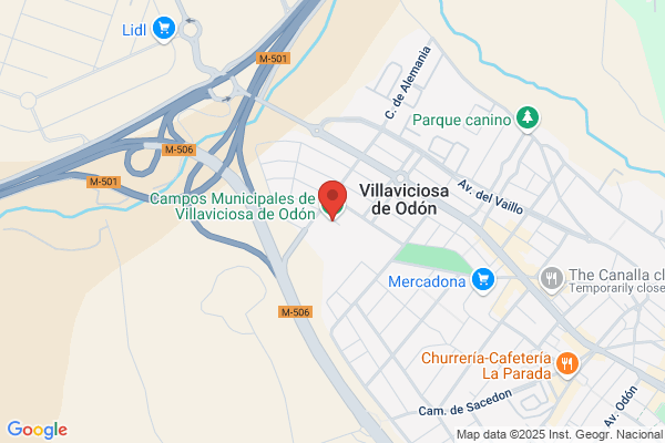 Agrupacion Deportiva Villaviciosa De Odon