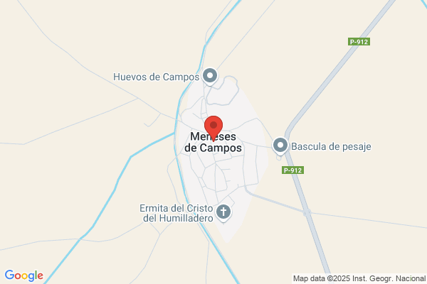 Campos Meneses m.