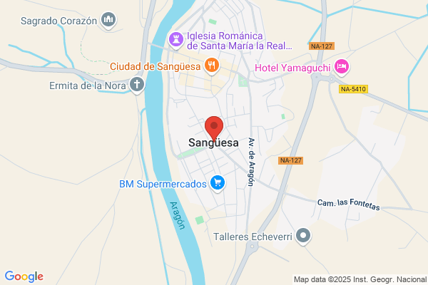 Sanguesa Campos i.