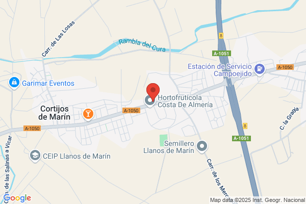 Bar Flores