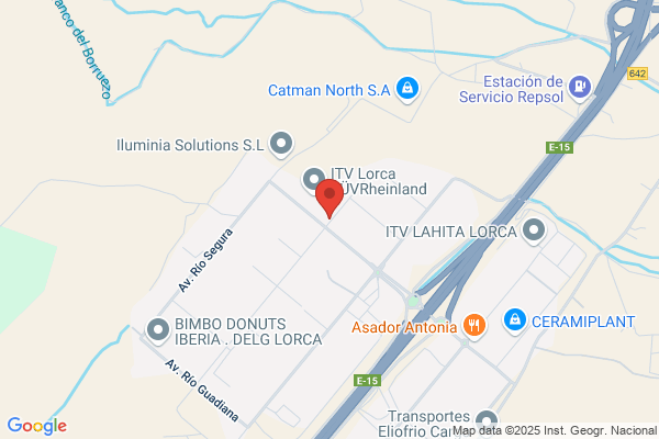 Neumaticos Del Guadalentin S.L.