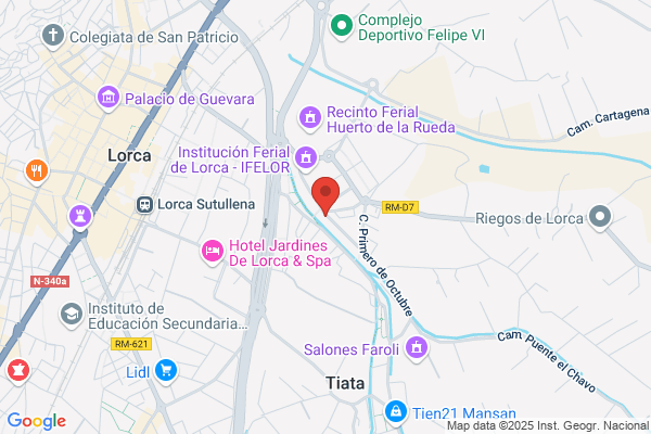 Sf Gestión Económica