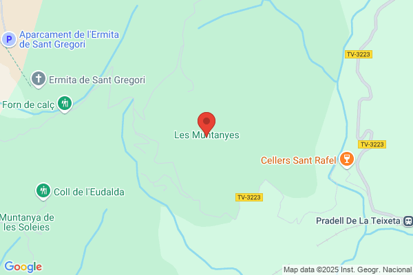 Catalana De Explosivos S.L.