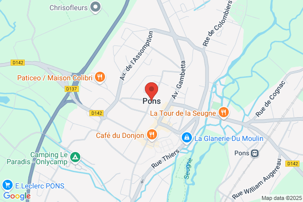 Pons Año v.