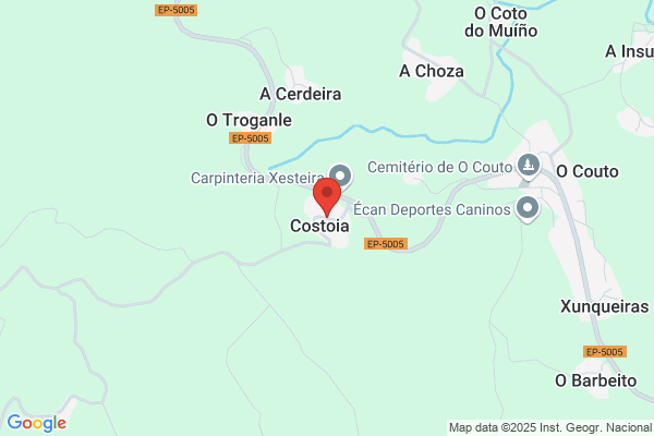 Costiña