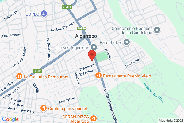 Alcon Molina g.