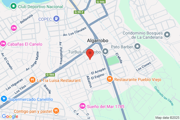 Autovidrios