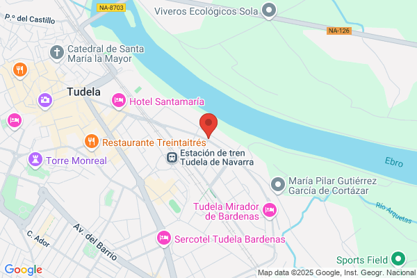 Chinesta Tudela j.