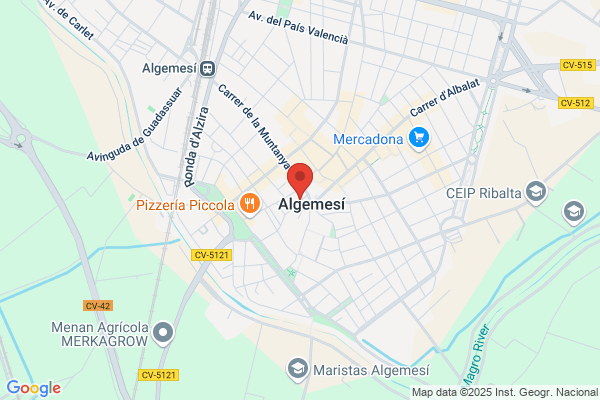 Ajuntament Dalgemesi - C. E. E. Albert tortajada