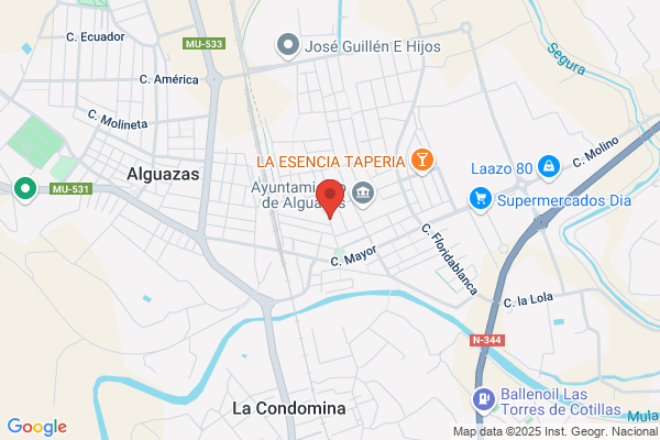 Asis Gallego j.