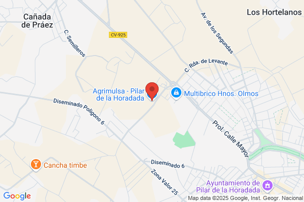 Grupo98 (Pilar De La Horadada (Alicante))