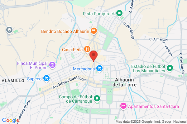 Gestion Y Realizacion Contable Benalges S.L.