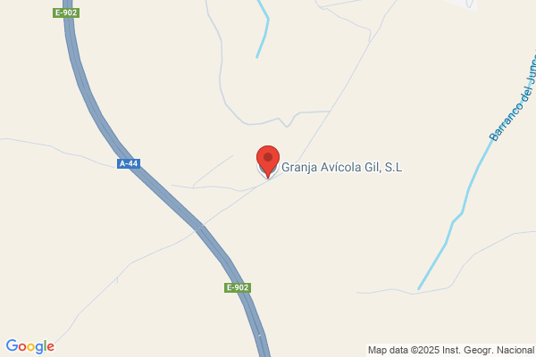 Granja Avicola Gil S.L. Huevos