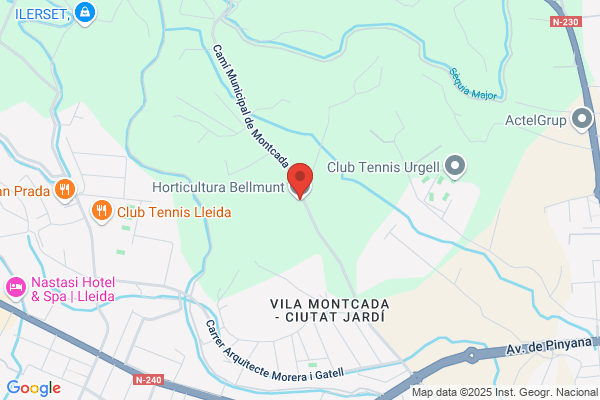 Horticultura Bellmunt S. A.