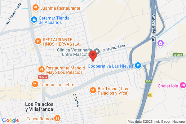 Carniceria Fernando