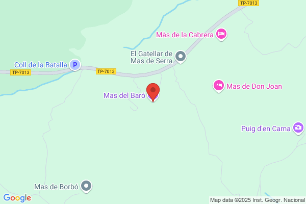 Mas Del Baro