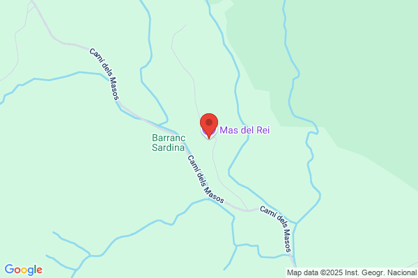 Mas Del Rei, S.A