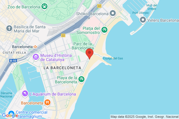 Restaurante Salmur S.L.