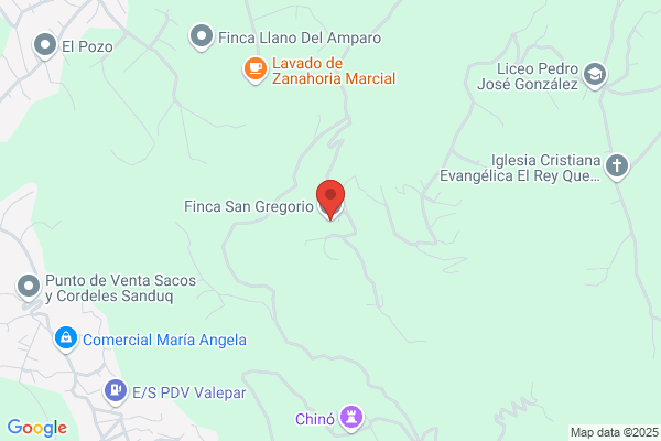 Finca De San Gregorio