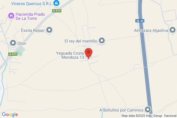 Grupo Mendoza
