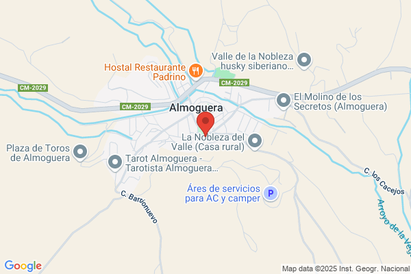 Autocares Manzano S.L.