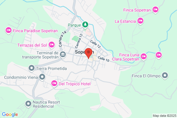 Novillo Rincon f.