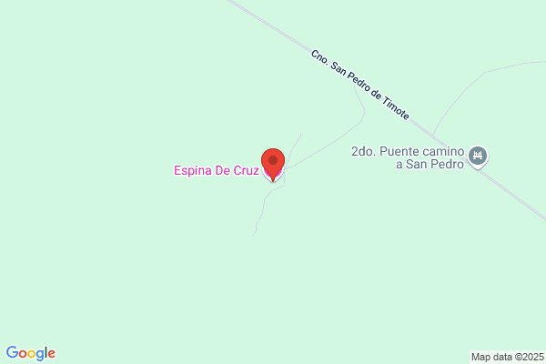 Espina Cruz a.