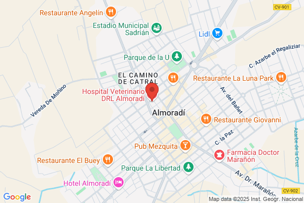 Clinica Veterinaria Almoradi