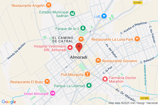 Repuestos Almoradi S.L. - Rec. Auto.
