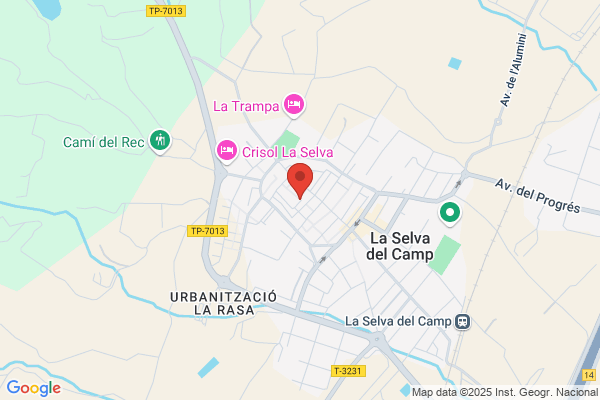 Ajuntament De La Selva Del Camp (Jardi Dinfans munic.)